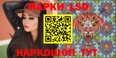 амф Обь