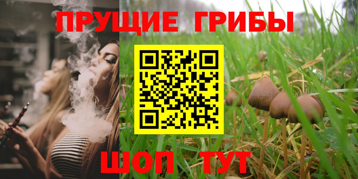 Галлюциногенные грибы GOLDEN TEACHER Шелехов
