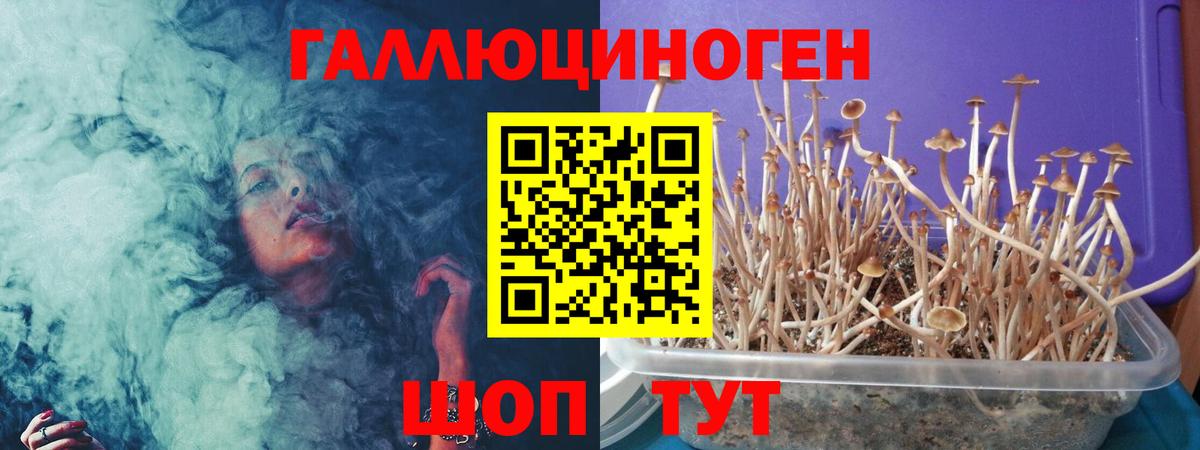 Шелехов  Псилоцибиновые грибы мухоморы  Галлюциногенные грибы MAGIC MUSHROOMS  Вход с VPN 